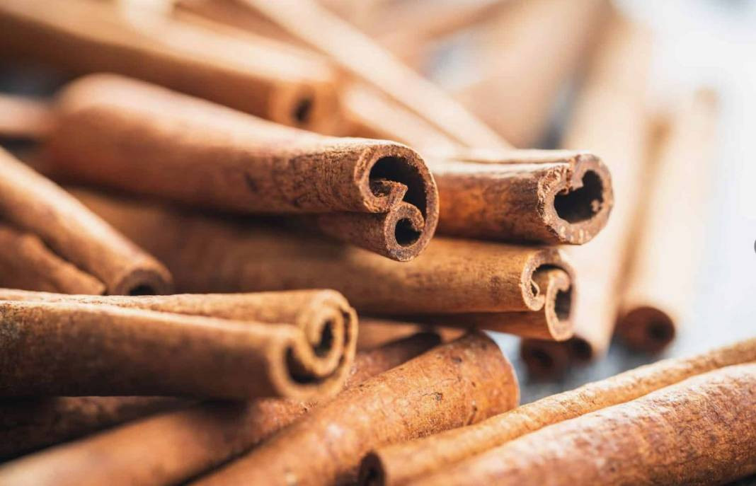 Zayıflamak isteyenlere mucize karışım! Türk kahvesinin içine 1 kaşık atın tığ gibi incelin - Resim: 1